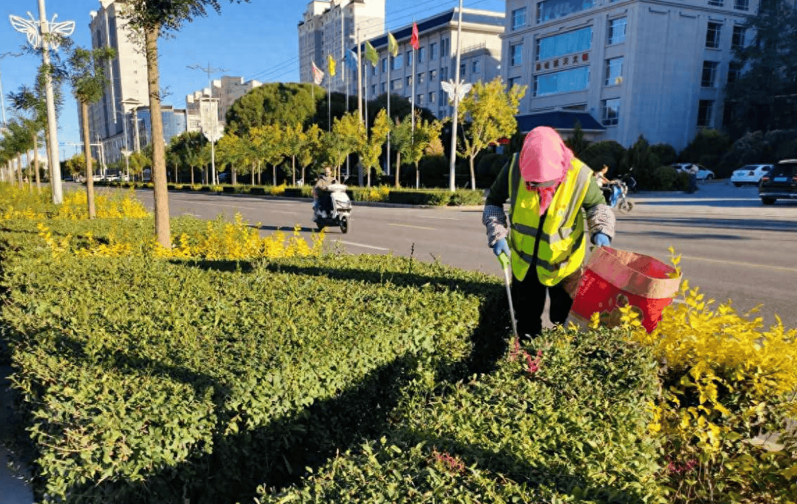 高臺縣城市園林綠化局清理綠化帶垃圾守護城市“綠色風景線”